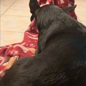 Meet your Posher, Daniela